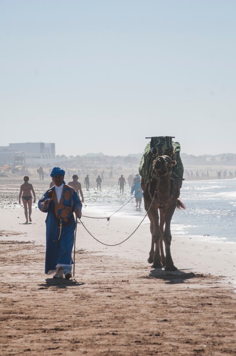 Exploring Agadir