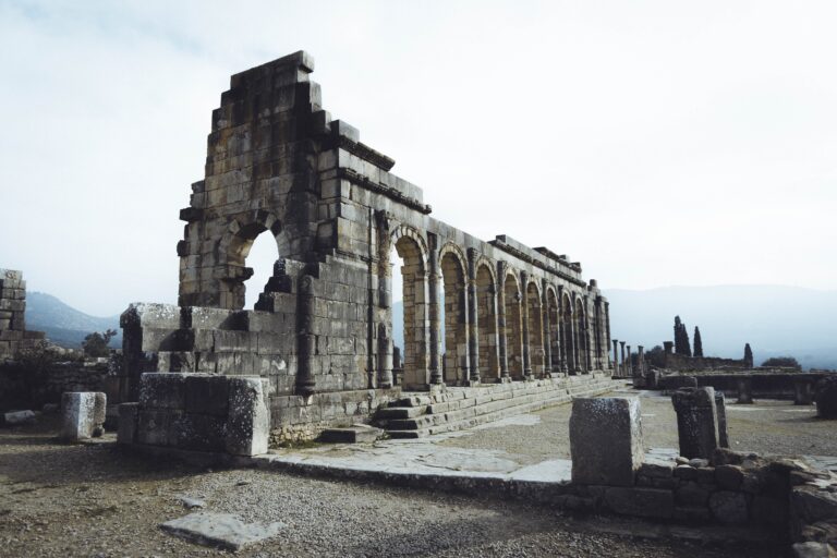Discover the historical allure of Volubilis.